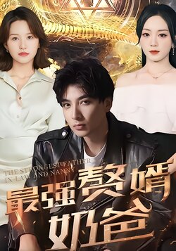 最强赘婿奶爸
