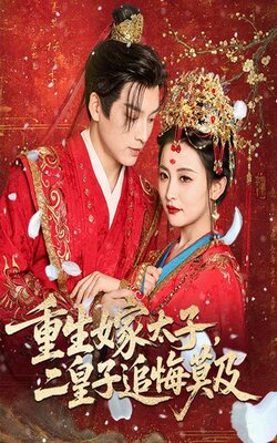重生嫁太子二皇子追悔莫及_枫叶短剧聚合网