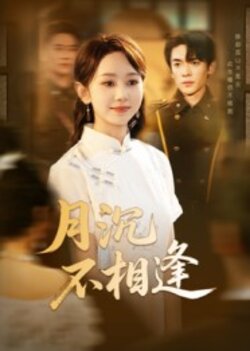 月沉不相逢_枫叶短剧聚合网