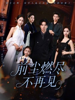 前尘燃尽不再见_枫叶短剧聚合网