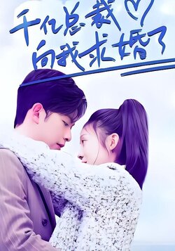 千亿总裁向我求婚了