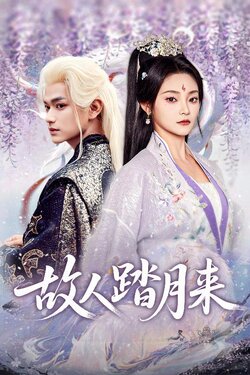 故人踏月来_枫叶短剧聚合网