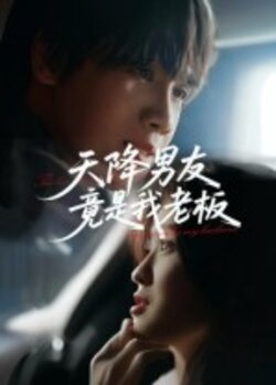 天降男友竟是我老板_枫叶短剧聚合网