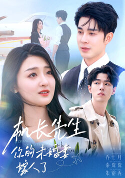 机长先生你的未婚妻嫁人了_枫叶短剧聚合网