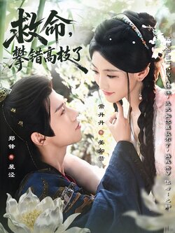 救命，攀错高枝了_枫叶短剧聚合网