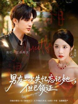 男友二次失忆忘记她但已领证_枫叶短剧聚合网