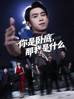 你是卧底,那我是什么_枫叶短剧聚合网