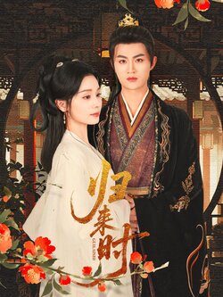 归来时_枫叶短剧聚合网