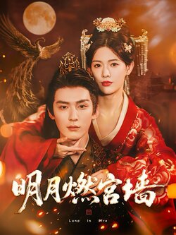 明月燃宫墙_枫叶短剧聚合网
