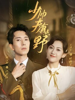 少帅夫人有点野