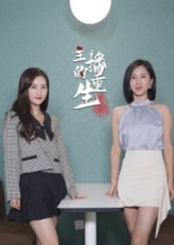 主播的重生_枫叶短剧聚合网