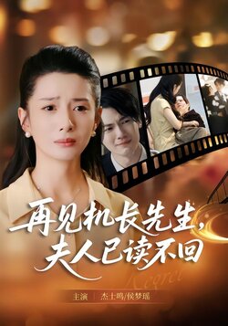 再见机长先生，夫人已读不回