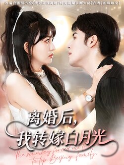 离婚后，我转嫁白月光_枫叶短剧聚合网