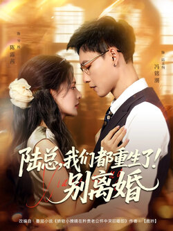 陆总我们都重生了!别离婚_枫叶短剧聚合网