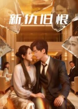 新仇旧恨_枫叶短剧聚合网