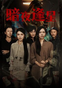 暗夜逢星_枫叶短剧聚合网