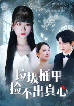 垃圾桶里捡不出真心_枫叶短剧聚合网