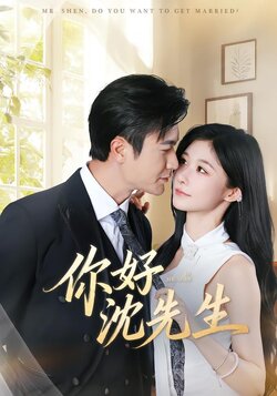 你好沈先生_枫叶短剧聚合网