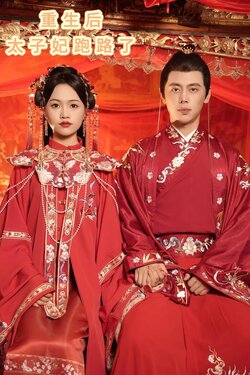 重生后太子妃跑路了