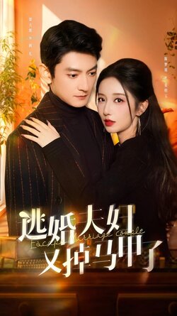 逃婚夫妇又掉马甲了