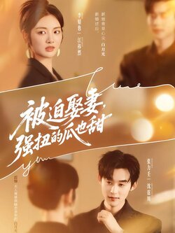 被迫娶妻，强扭的瓜也甜_枫叶短剧聚合网