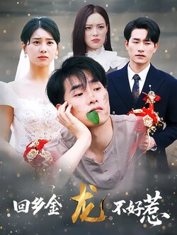 回乡金龙不好惹_枫叶短剧聚合网