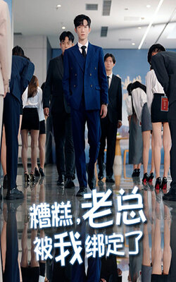 糟糕老总被我绑定了_枫叶短剧聚合网