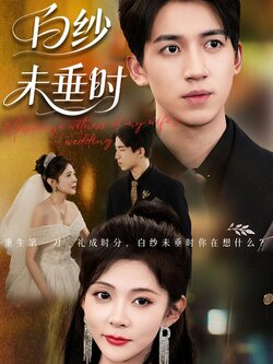 老婆婚礼，我当证婚人_枫叶短剧聚合网