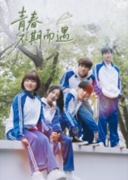 青春不期而遇_枫叶短剧聚合网