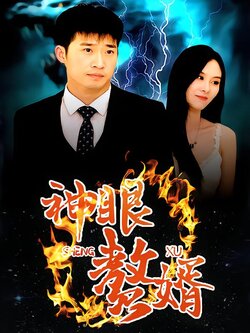神眼赘婿_枫叶短剧聚合网