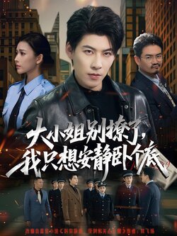 大小姐别撩了，我只想安静卧个底_枫叶短剧聚合网