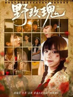 野玫瑰_枫叶短剧聚合网