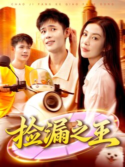 捡漏之王_枫叶短剧聚合网