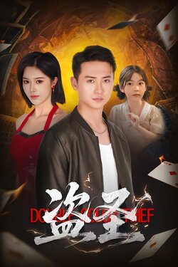 盗圣_枫叶短剧聚合网