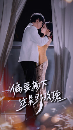 偏要摘下这朵野玫瑰_枫叶短剧聚合网