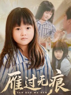 雁过无痕_枫叶短剧聚合网