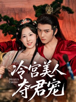 冷宫美人夺君宠