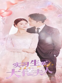 实习生是大佬夫人