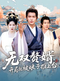 无双赘婿，开局就被娘子推上台_枫叶短剧聚合网