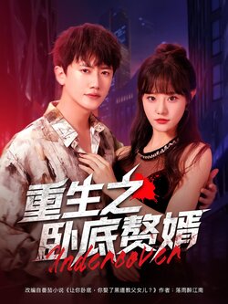 重生之卧底赘婿_枫叶短剧聚合网