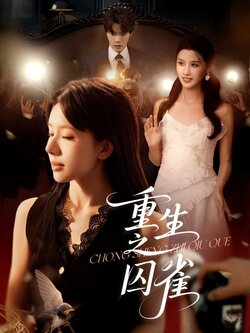 重生之囚雀_枫叶短剧聚合网