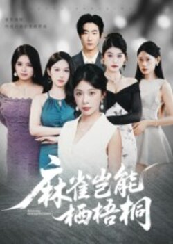 麻雀岂能栖梧桐_枫叶短剧聚合网