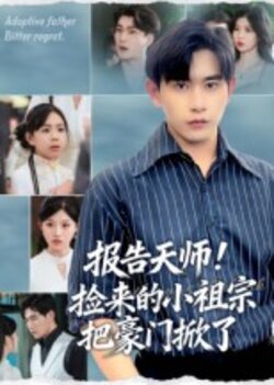 报告天师！捡来的小祖宗把豪门掀了_枫叶短剧聚合网