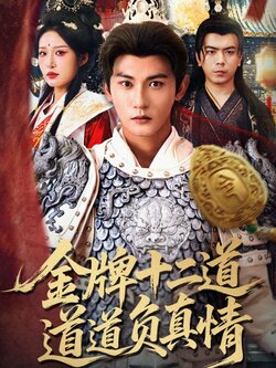 金牌十二道道道负真情_枫叶短剧聚合网