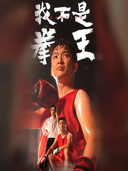 我不是拳王