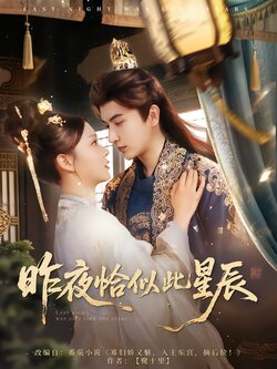昨夜恰似此星辰