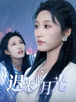 迟来的月光_枫叶短剧聚合网