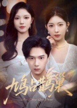 鸠占鹊巢_枫叶短剧聚合网