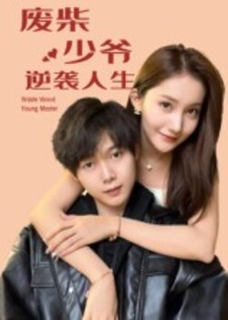 废柴少爷的逆袭人生_枫叶短剧聚合网