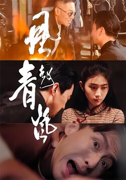 风起青岚_枫叶短剧聚合网